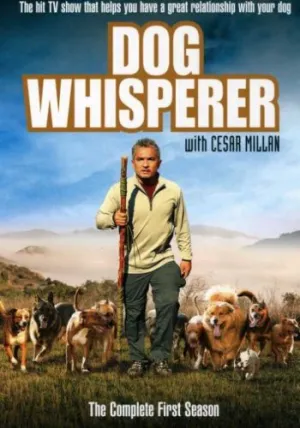 Переводчик с собачьего (сериал 2004)