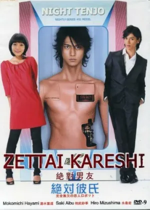 Идеальный парень (сериал 2008)