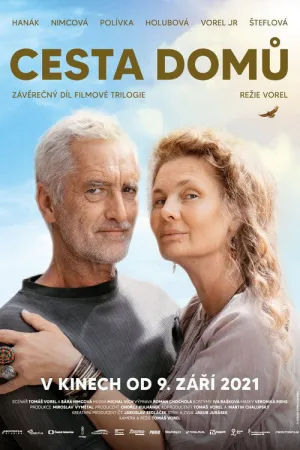 Дорога домой (2021)